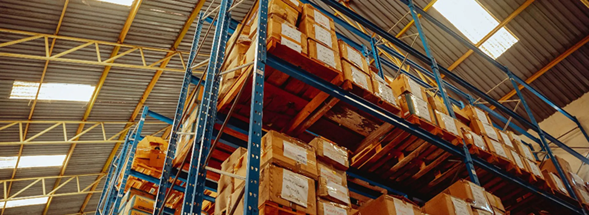 Reduce Costs, Boost Efficiency & Simplify Procurement